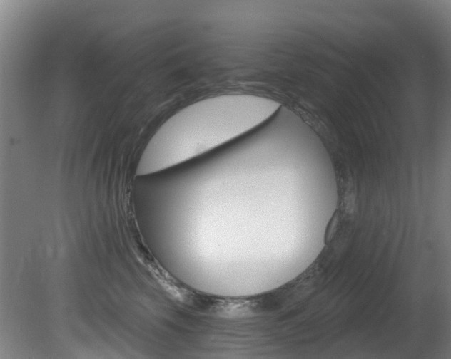 X0000081280569200701110937