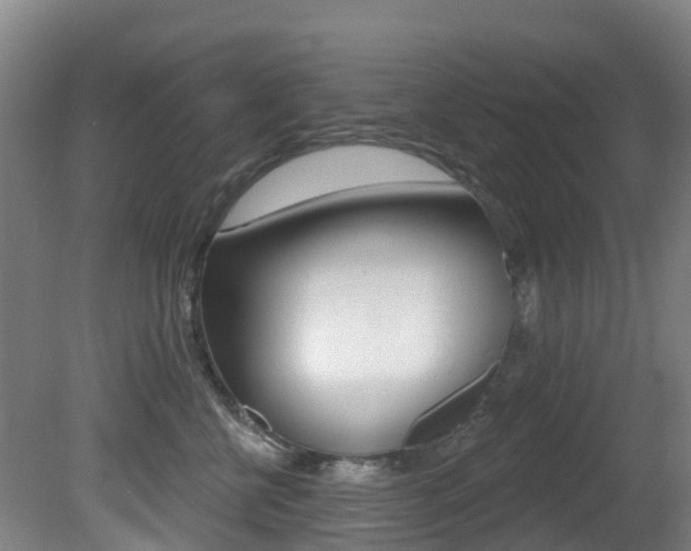 X0000081280570200701110937