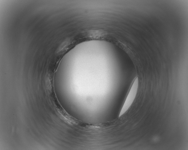 X0000081280572200701110937