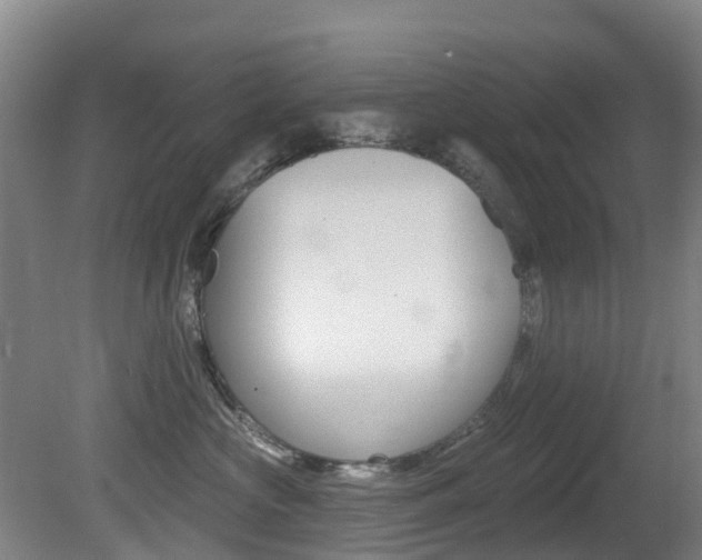 X0000081280573200701110937