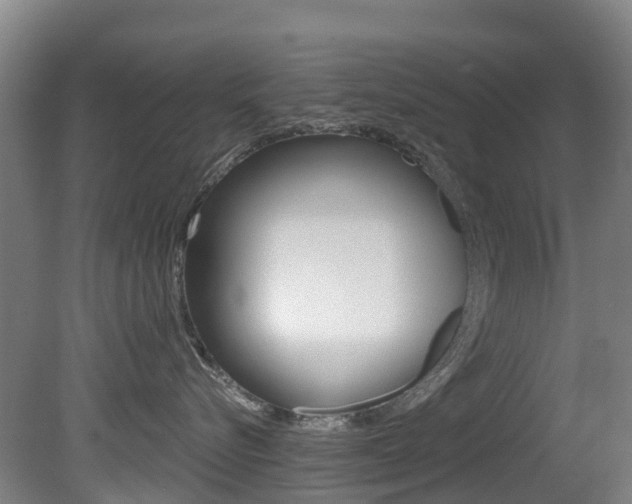 X0000081280576200701110937