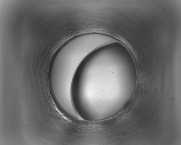 X0000081280577200701110936