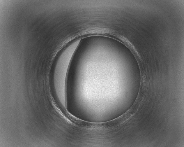 X0000081280581200701110936