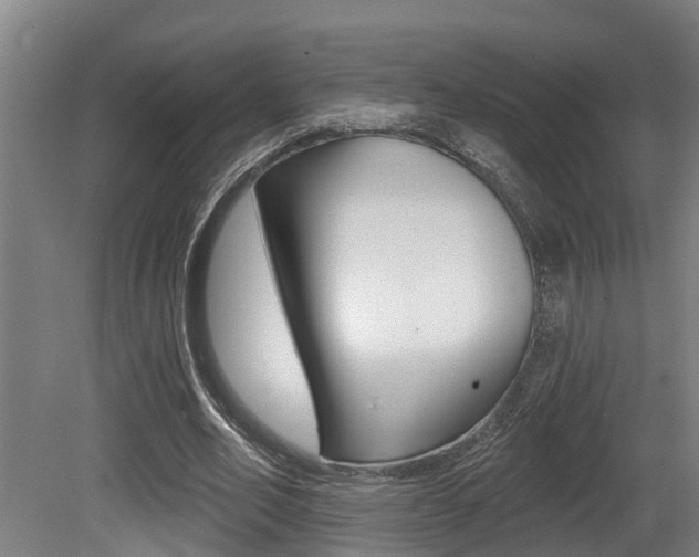 X0000081280582200701110936