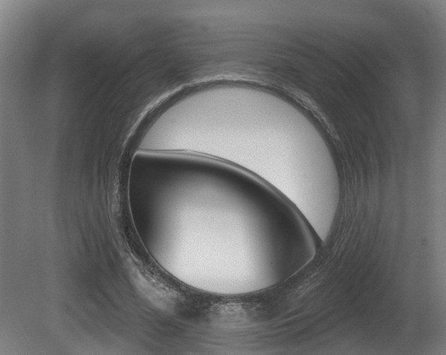 X0000081280588200701110936