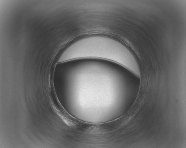 X0000081280589200701110936