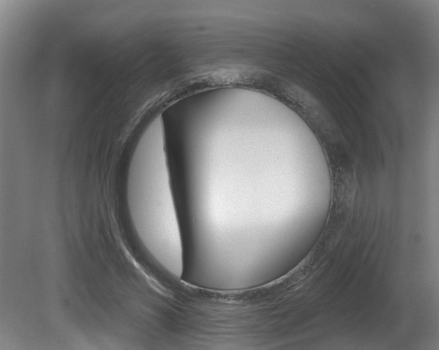 X0000081280590200701110936