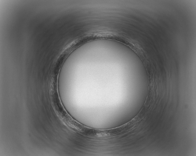 X0000081280591200701110936