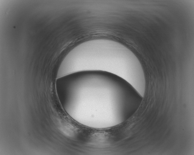 X0000081280595200701110936