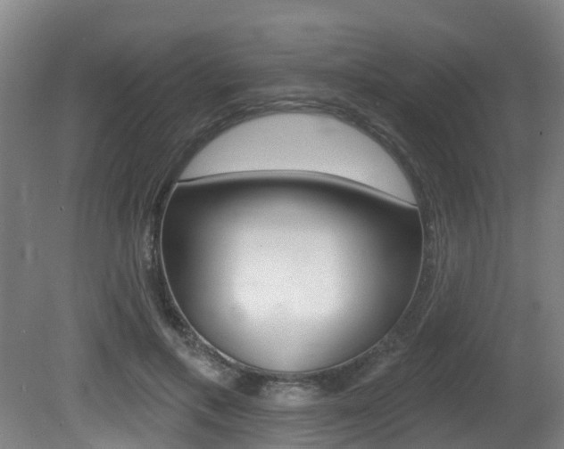 X0000081280597200701110936