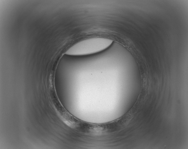 X0000081280598200701110936