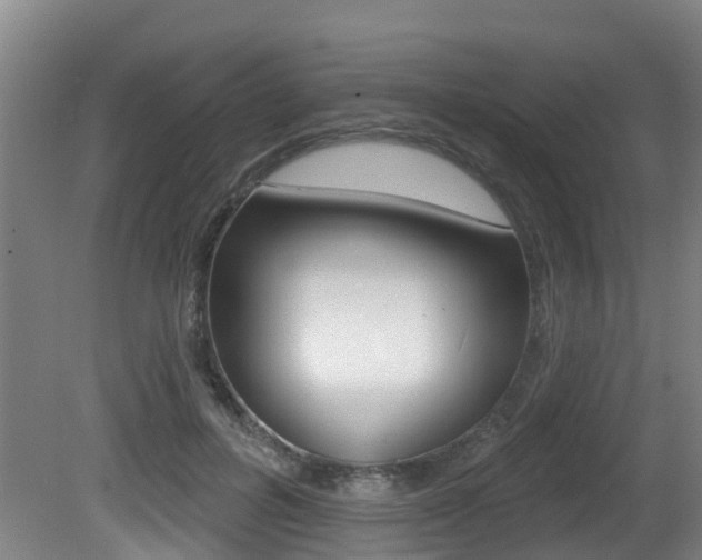 X0000081280600200701110936