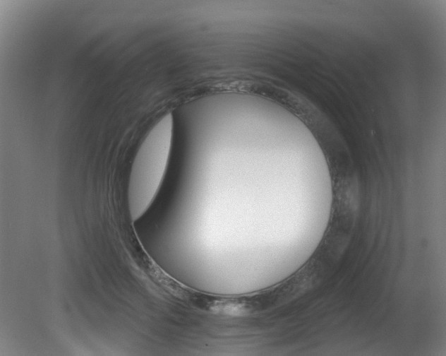 X0000081280602200701110936