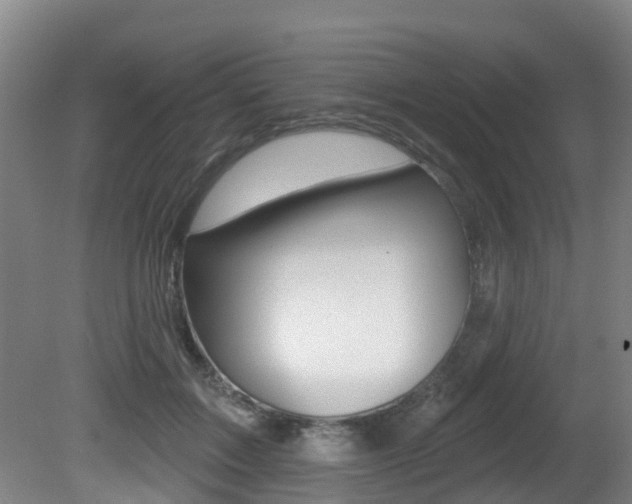 X0000081280603200701110936