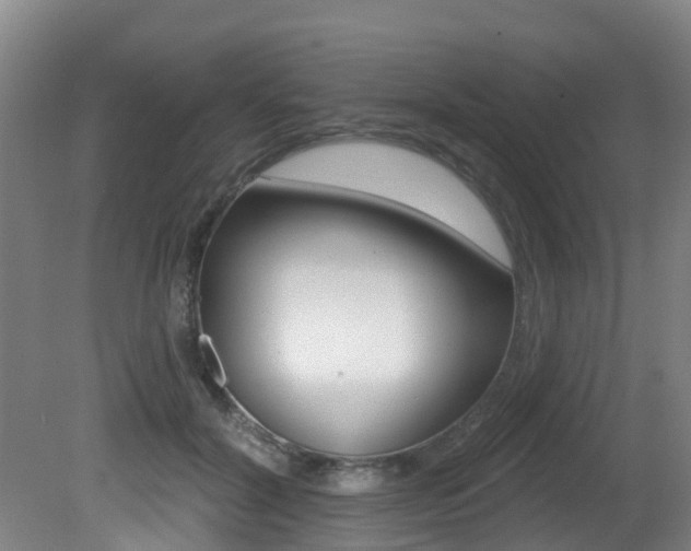 X0000081280604200701110936