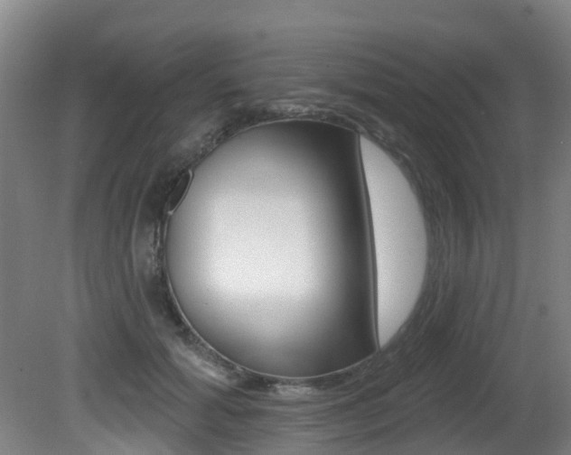 X0000081280605200701110936