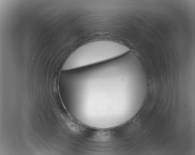 X0000081280606200701110936