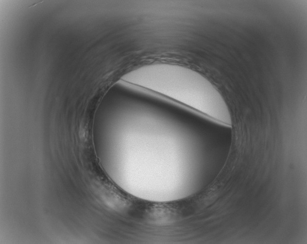 X0000081280608200701110936