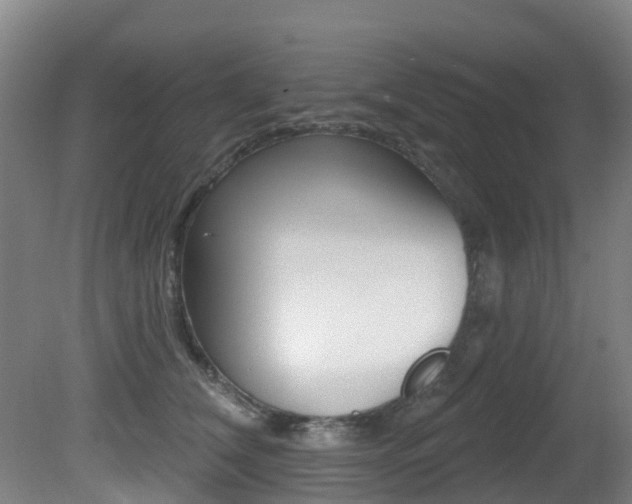 X0000081280612200701110936