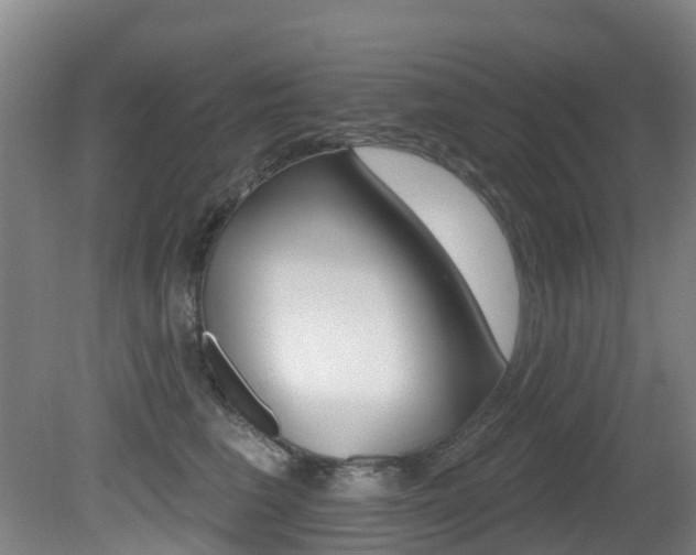 X0000081280613200701110936