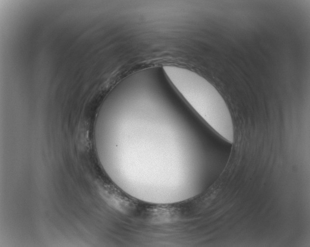 X0000081280615200701110936