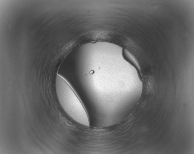 X0000081280619200701110936