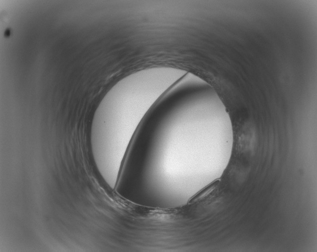 X0000081280620200701110935