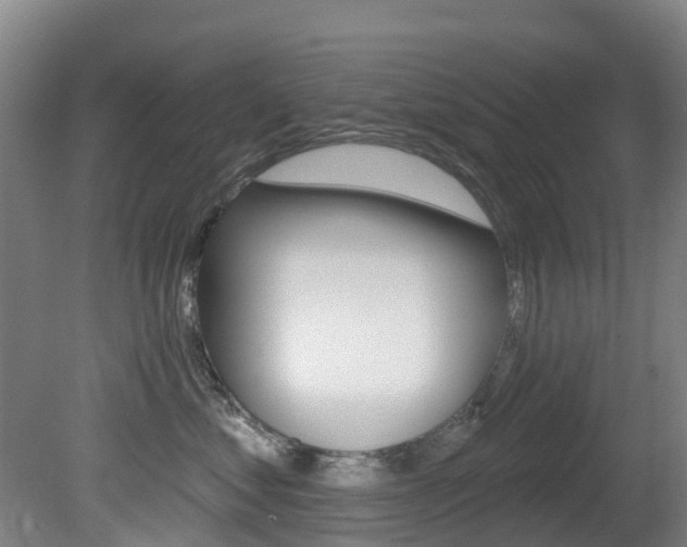 X0000081280621200701110935