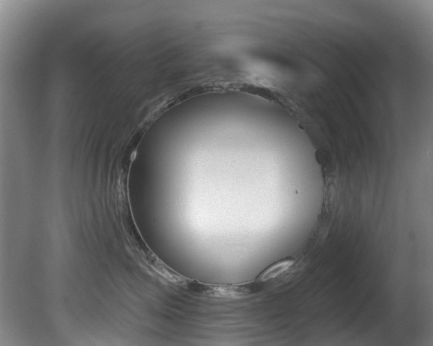 X0000081280623200701110935