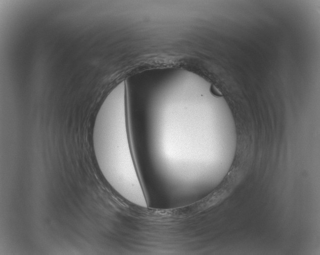 X0000081280624200701110935