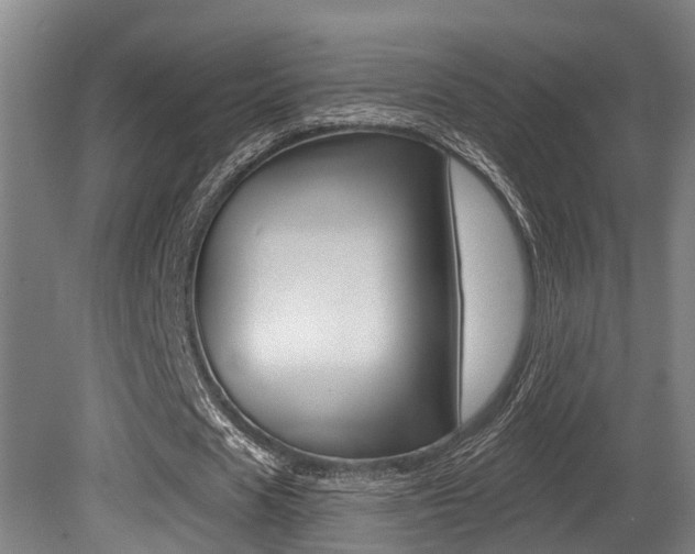 X0000081280625200701110935