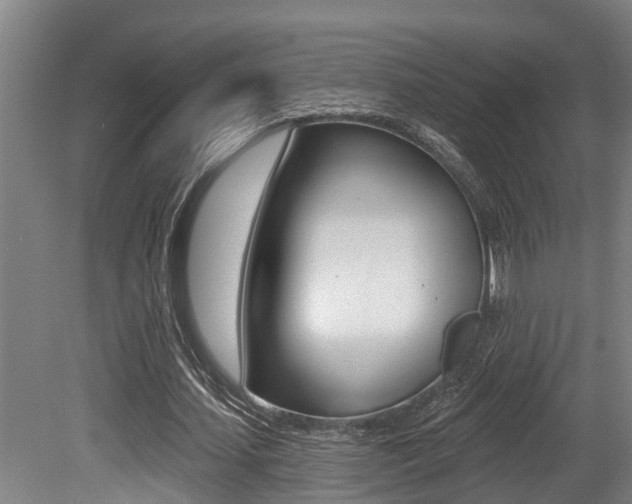 X0000081280627200701110935