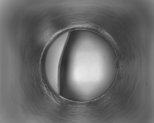 X0000081280628200701110935