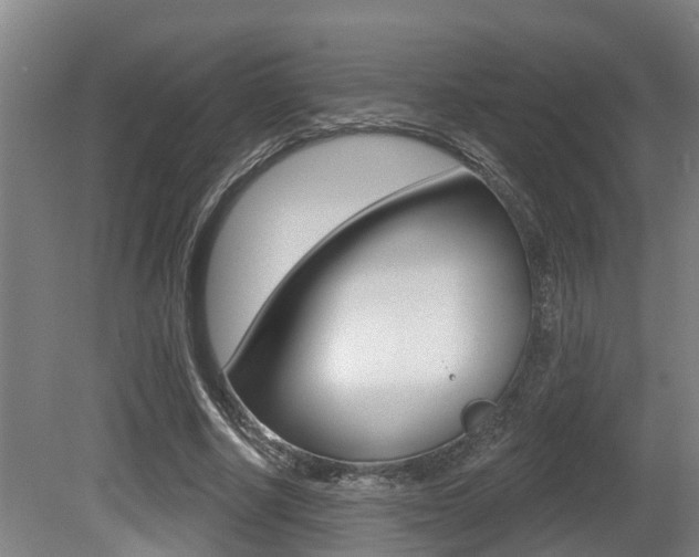 X0000081280634200701110935