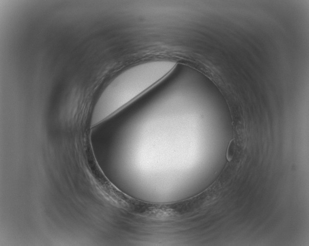 X0000081280642200701110935