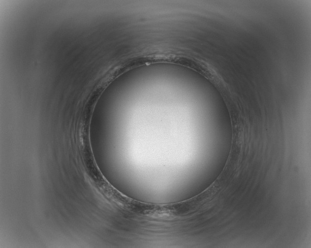 X0000081280643200701110935
