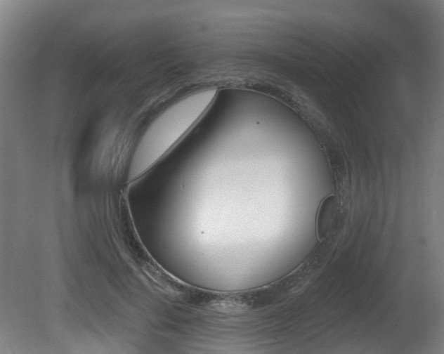 X0000081280644200701110935