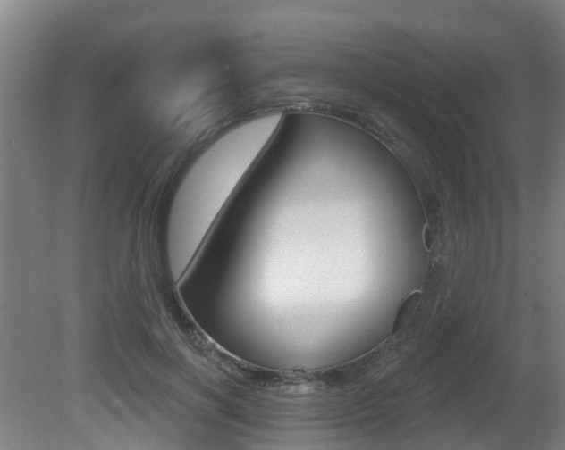 X0000081280646200701110935