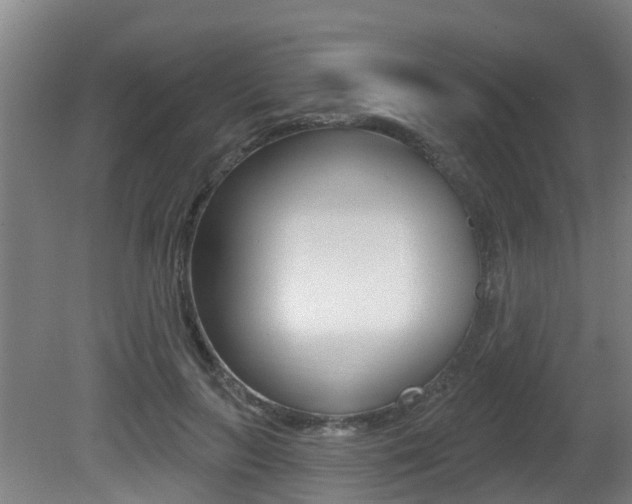X0000081280647200701110935