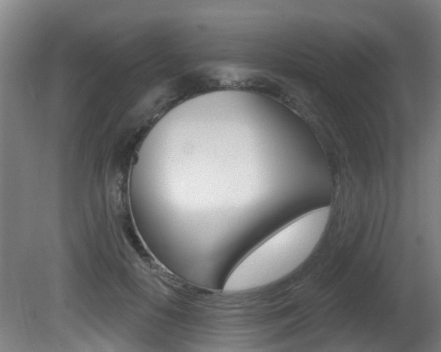 X0000081280650200701110935