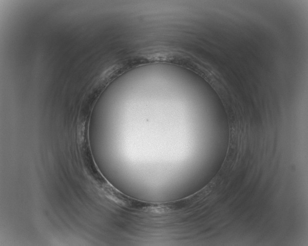 X0000081280652200701110935