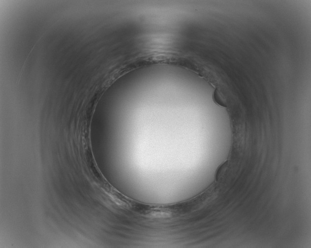X0000081280653200701110935