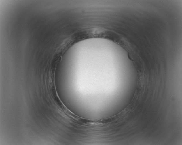 X0000081280654200701110935