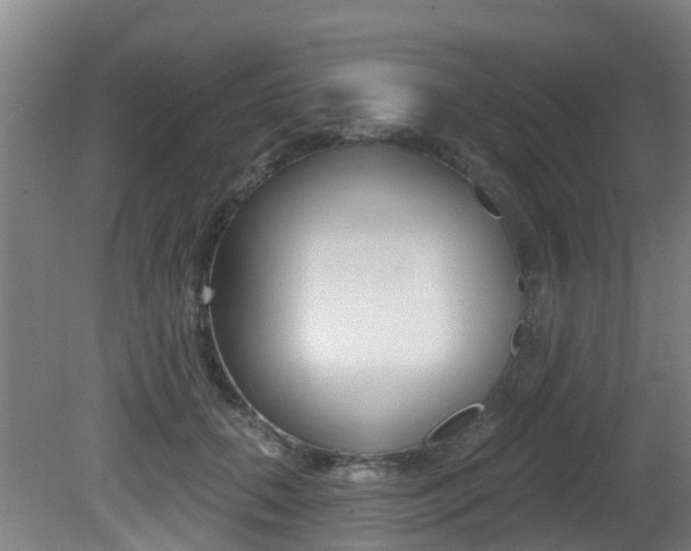 X0000081280655200701110935