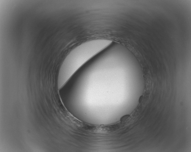 X0000081280656200701110935