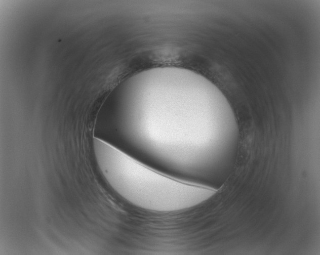 X0000081280658200701110935