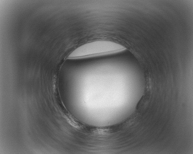 X0000081280664200701110935