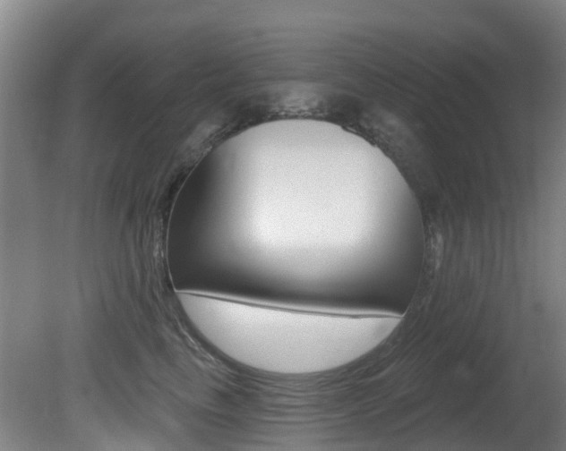 X0000081280665200701110935