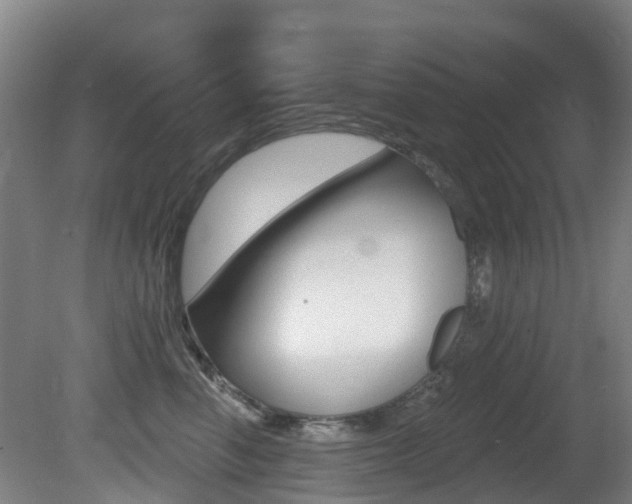 X0000081280666200701110935
