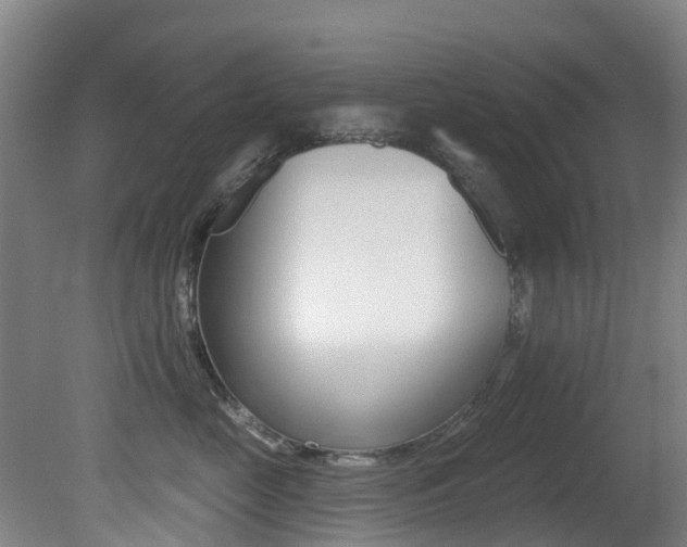 X0000081280669200701110935